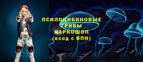 дживик Балахна
