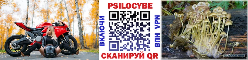 Псилоцибиновые грибы GOLDEN TEACHER  кракен онион  Новоаннинский 