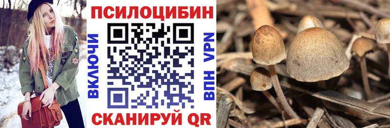Галлюциногенные грибы мицелий Новоаннинский